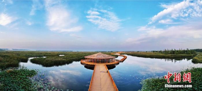 雄安白洋淀风光。刘光昱 摄