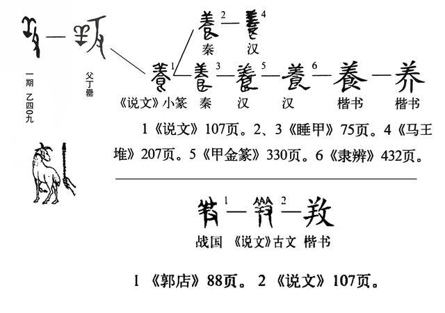 养的字形演变(下部为《说文解字》古文养)