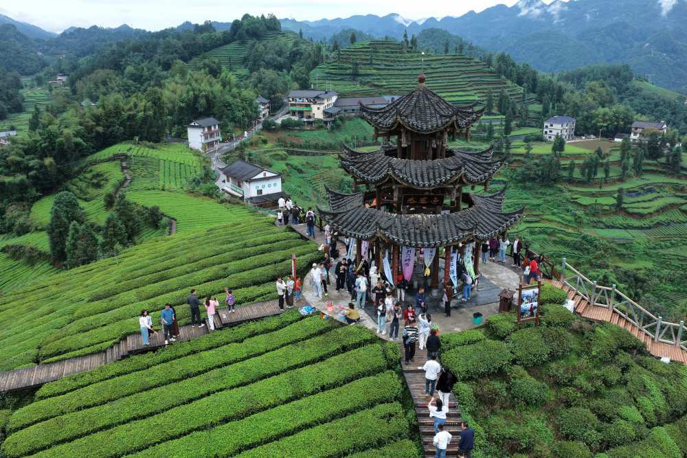 10月4日,游客在湖北省宣恩县伍家台贡茶文化旅游区的茶山上游玩。新华社发(宋文 摄)
