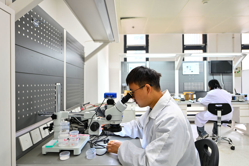 2月27日，在天津滨海高新区新智感知科技产业园的一处实验室，工作人员对产品进行测试。新华社记者 赵子硕 摄