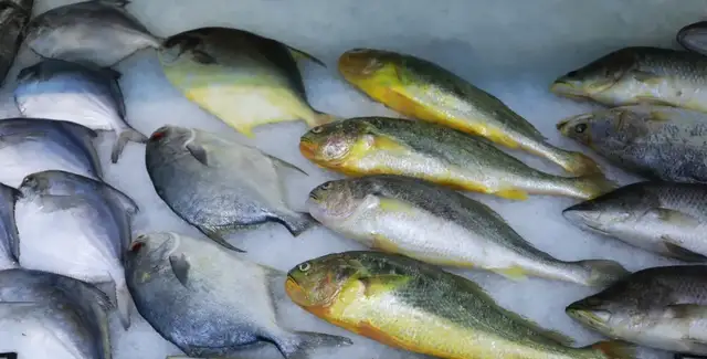 人民日报健康客户端资料图 曹子豪摄