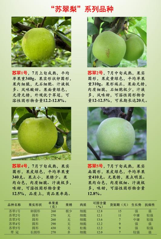 图片6.png