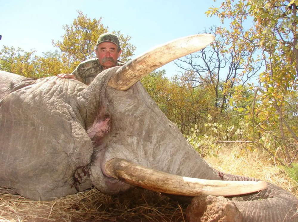 十多年前，多西奥在博茨瓦纳猎杀了一头大象 纽约邮报