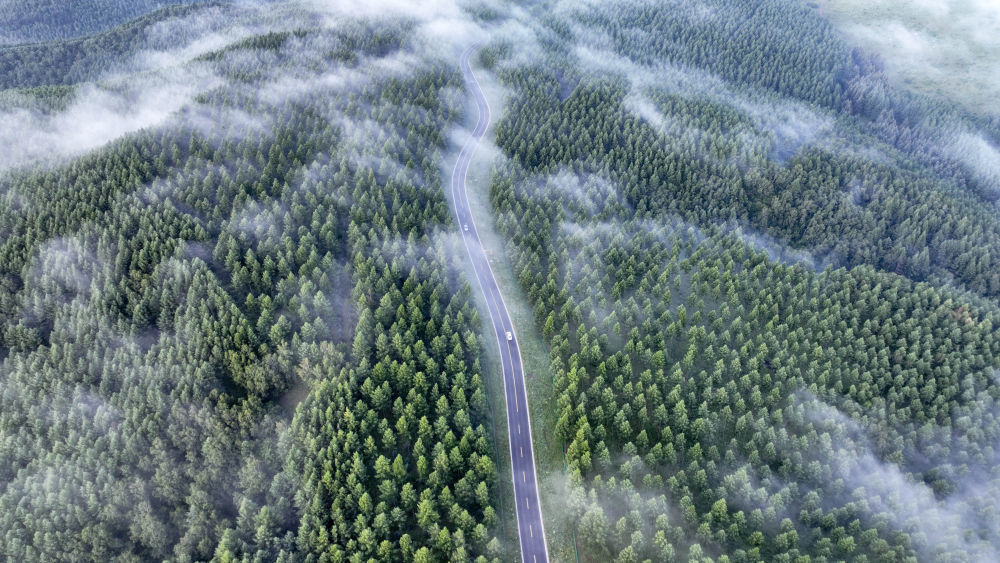 2024年7月26日拍摄的塞罕坝国家级自然保护区景色（无人机照片）。夏日清晨，位于河北省承德市的塞罕坝国家级自然保护区满目青翠，浩瀚林海壮美如画。新华社发（王立群 摄）