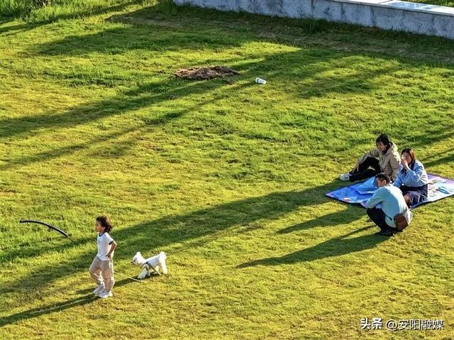 安阳CBD公园环境优美、绿意盎然，不少市民纷纷前来散步游玩，惬意享受城市绿意风光。冀坤 摄