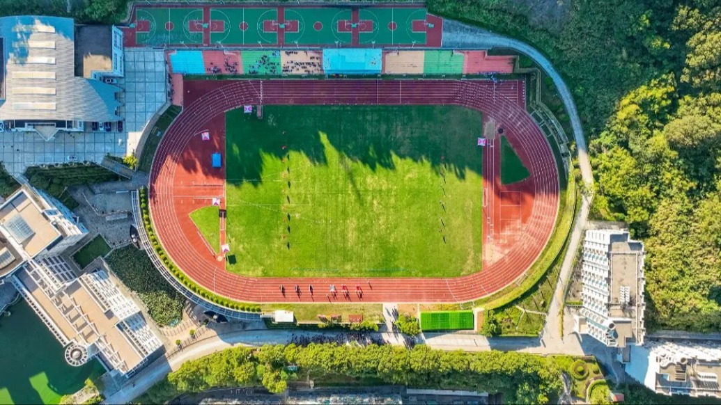 嵊泗中学公众号图