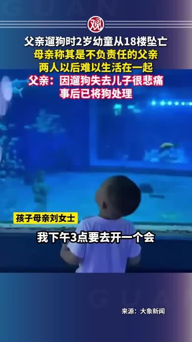 父亲遛狗时2岁幼童从18楼坠亡，母亲称其是不负责任的父亲，两人以后难以生活在一起；父亲：因遛狗失去儿子很悲痛，事后已将狗处理