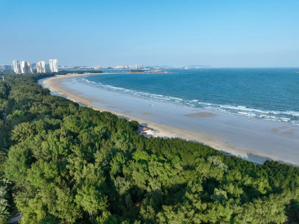 △福建东山县沿海防护林郁郁葱葱。