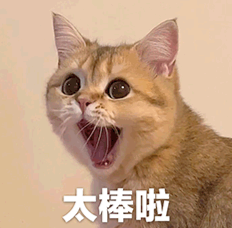 马斯克大火箭把月球撞了个坑