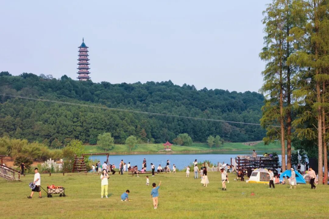 R6M29248_看图王.jpg