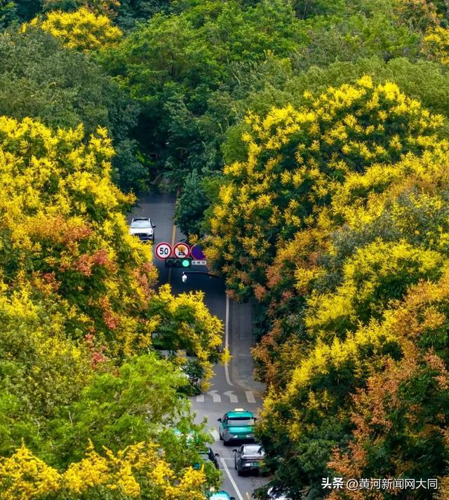 摄影 跟老吴RUN