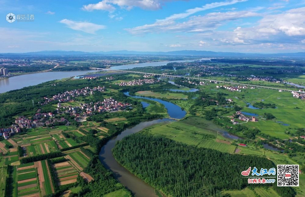 江西泰和冲击平原美如画