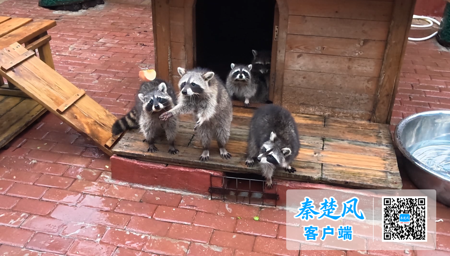 wechat_2026-09-29_111853_227 (1)