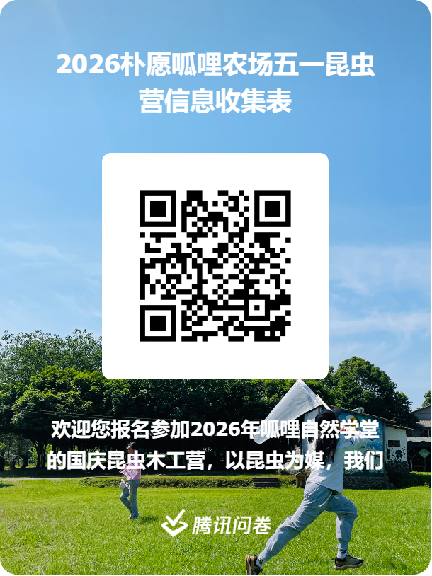 49a17ecf07fb46a0164f680aa46f2baf.png