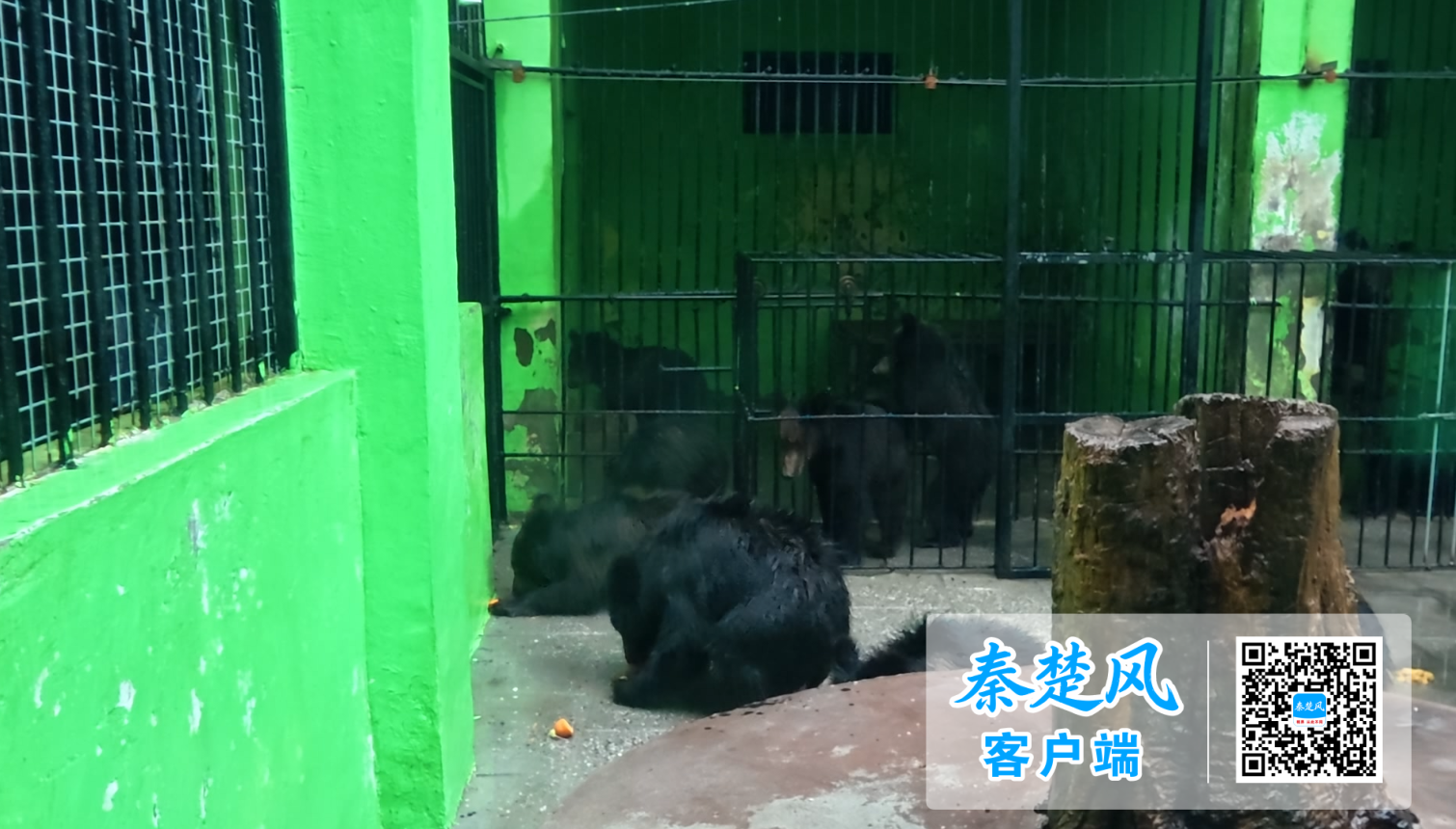 wechat_2026-09-29_111731_762 (1)