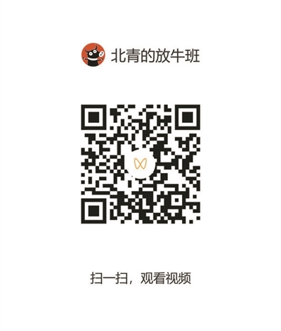 团结湖炒饭 线上寻味“烟火气”