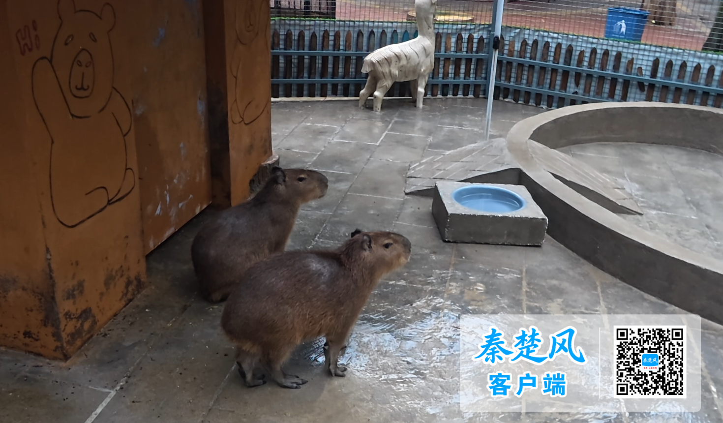 wechat_2026-09-29_111804_842 (1)