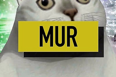 为什么智障Mur猫，会成为新一代憨王表情包_凤凰网