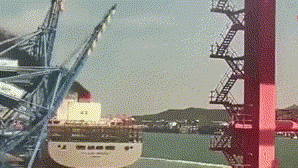 损失百亿！监拍：韩国港口一台起重机被巨轮撞塌