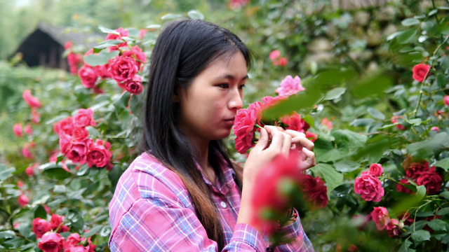 龙梅梅L」世人喜观花，我却爱食花，玫瑰花宴 头像 龙梅梅L