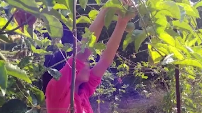 广西“百香果”女孩母亲称凶手从未道歉：被抢的32元都没还