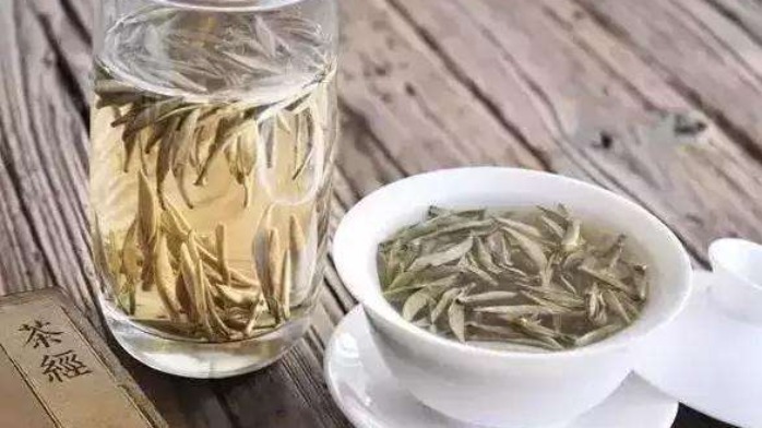“白茶”是茶不是药 而它的功效与作用你知道几个？