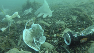 “口罩比水母还多” 法国一小城海底发现大量防疫垃圾