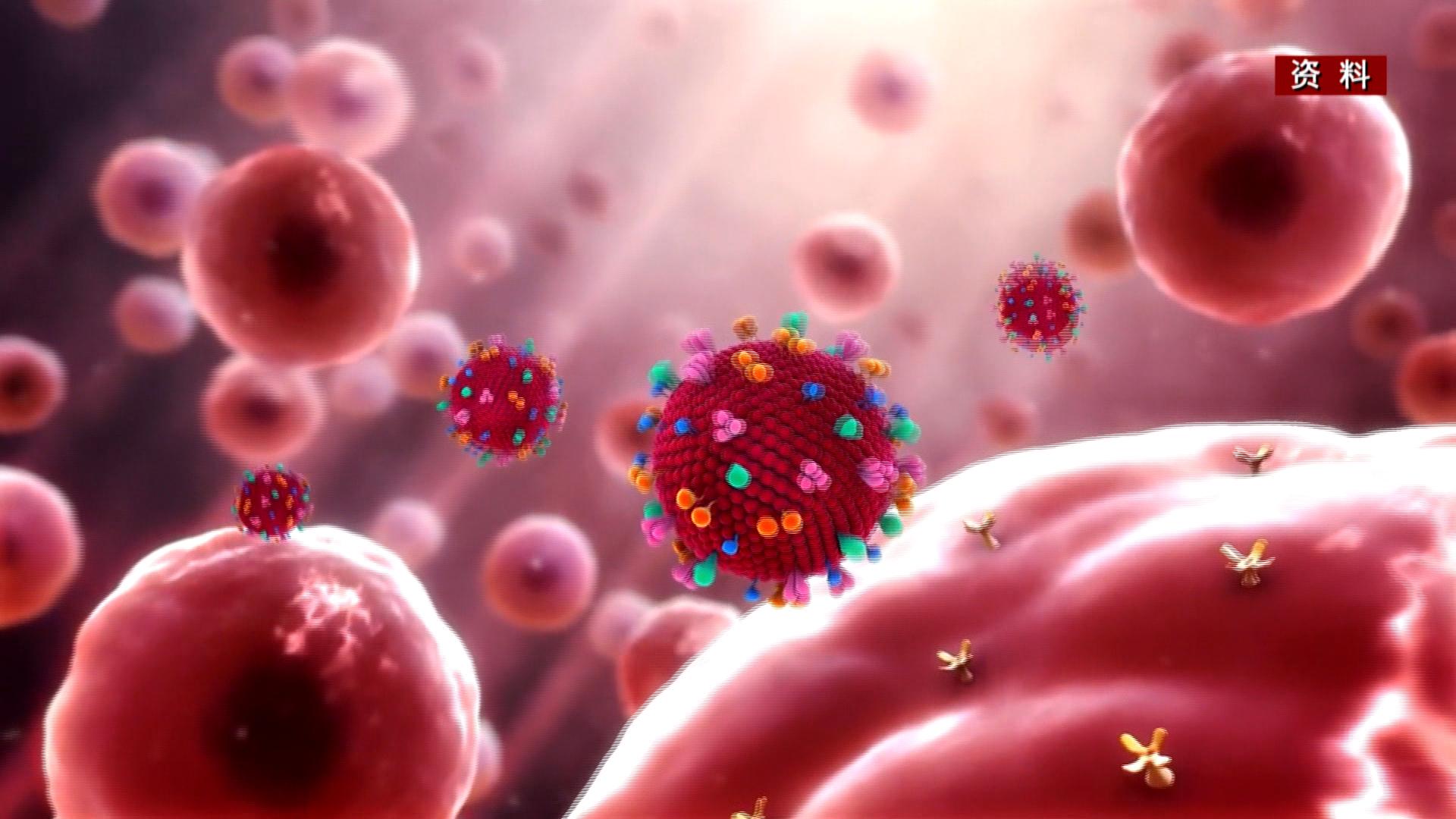 搞清楚新冠病毒入侵人体路径对新药研发有何指导