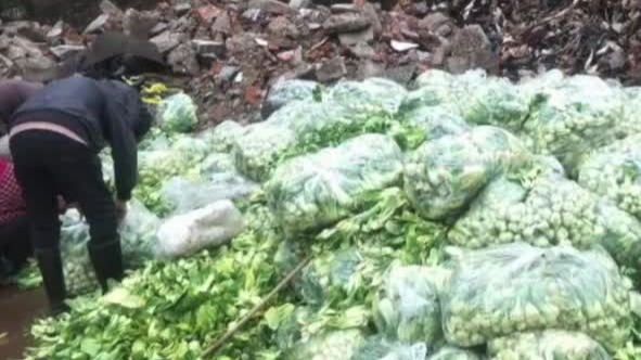 外地捐赠给湖北黄石的青菜被当垃圾扔了？官方回应