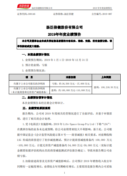 汤臣倍健:计提商誉和无形资产减值准备 2019年