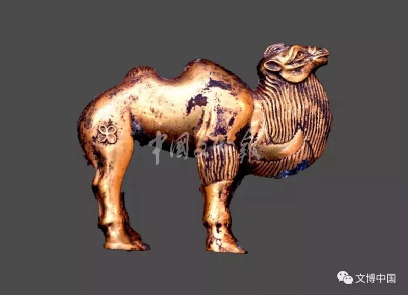 秦始皇帝陵发现大型陪葬墓 “金骆驼”现世！