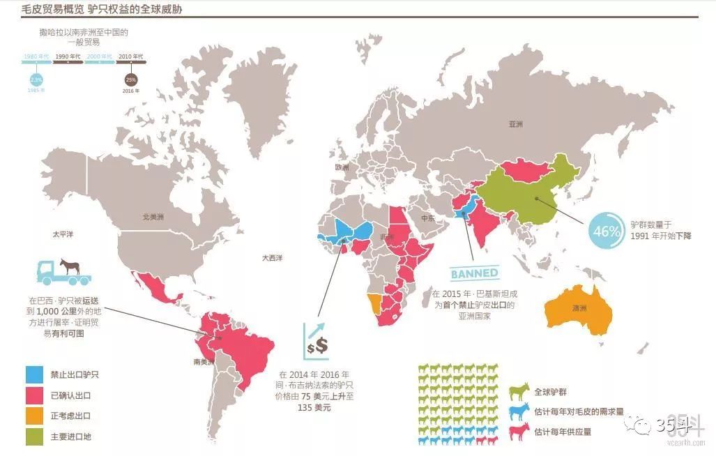 养驴大业：阿胶大跌后，全国260多万头驴怎么办？