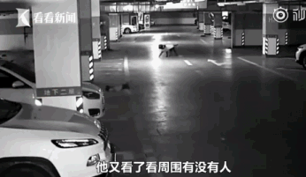 [FUN来了]男子盗窃让宠物狗给望风 结果惨被狗出卖