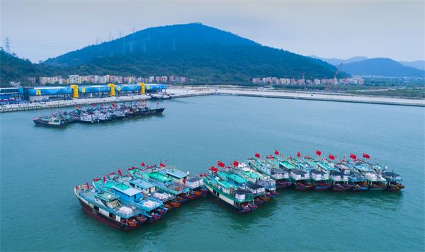 全力配合渔港搬迁格力地产助力洪湾打造珠海渔业旅游新地标