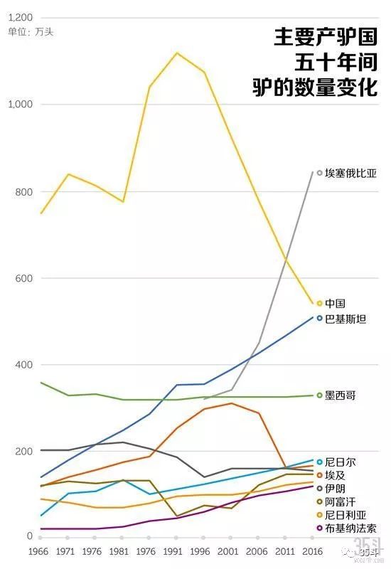 养驴大业：阿胶大跌后，全国260多万头驴怎么办？