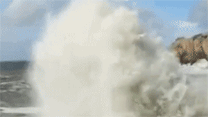 直击台风利奇马：浙江海岸掀10米高巨浪 高楼墙砖被吹落