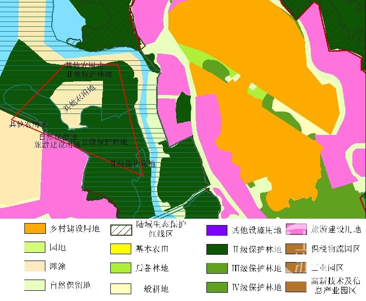 填海建楼毁坏红树林 海南澄迈县被批“督察整改走过场”