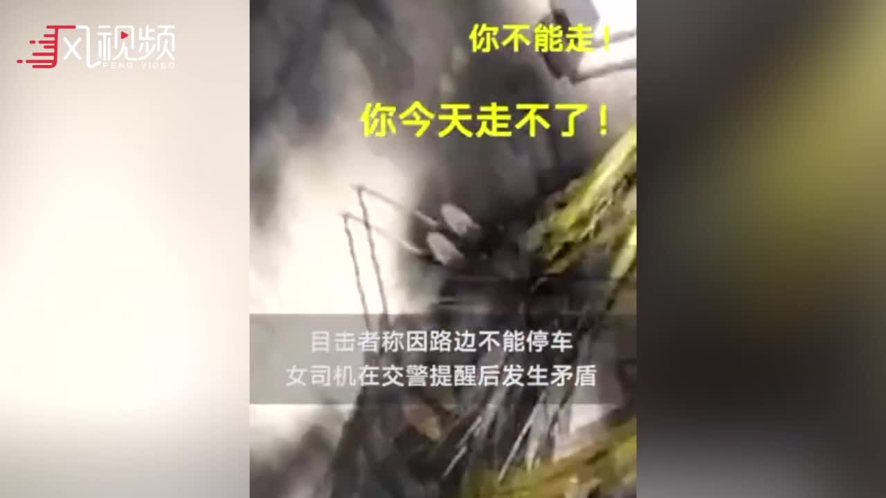 现场：女子违停不听劝告用防狼喷雾猛喷交警 已被北京警方刑拘