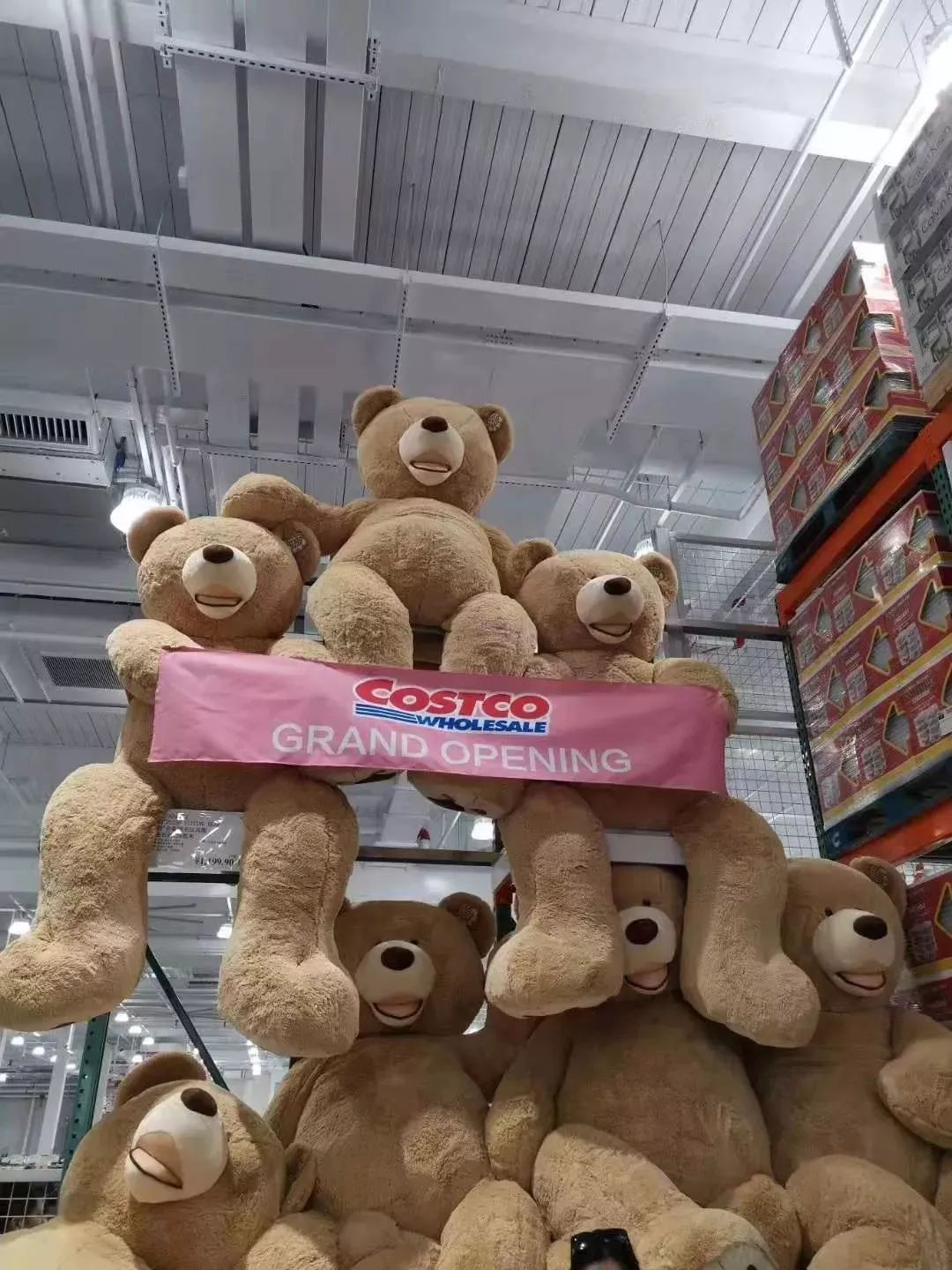 茅台秒光,被“买崩”的Costco背后,有个不想赚钱的老板