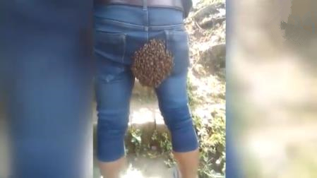 笑喷！印度小伙臀部惨遭蜜蜂群筑巢 赶都赶不走
