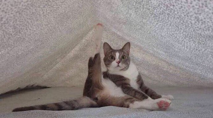 [FUN来了]印度男子伪造登月视频 全印度叫好