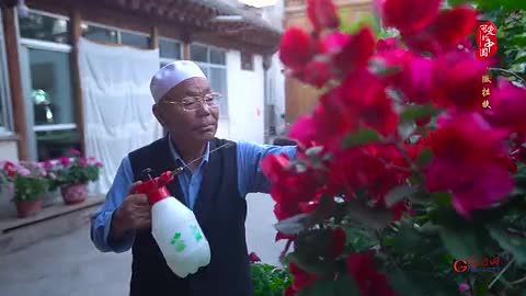 撒拉族：在骆驼泉旁，感受“花儿”与“少年”的别样生活
