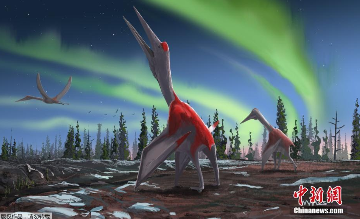英国一大学发布翼龙新物种形象