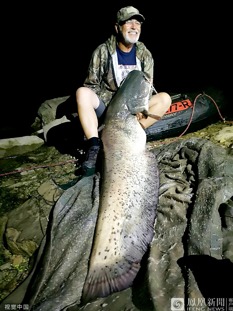 钓鱼爱好者捕获巨型鲶鱼重达200斤 巨型鱼有哪些(最大鲶鱼图片)