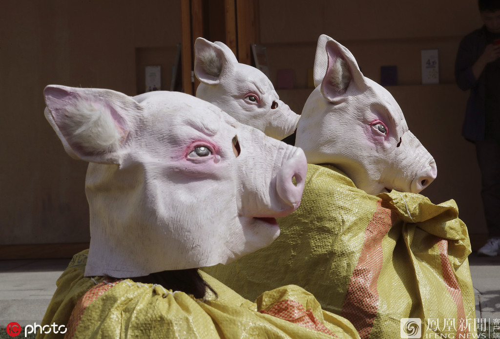 韩国动保人士抗议现场