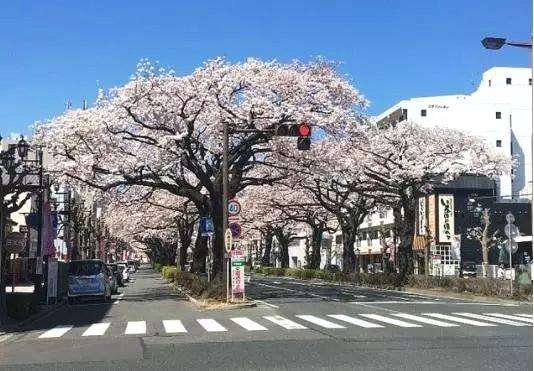 日本茨城县某住宅夫妇深夜被刺身亡两儿童受伤 凤凰网 日本茨城县某住宅夫妇深夜被刺身亡两儿童受伤 凤凰网