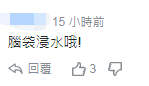 「环球网」台“国防部长”称用导弹反制无人机 网友讽：大炮打小蜜蜂？