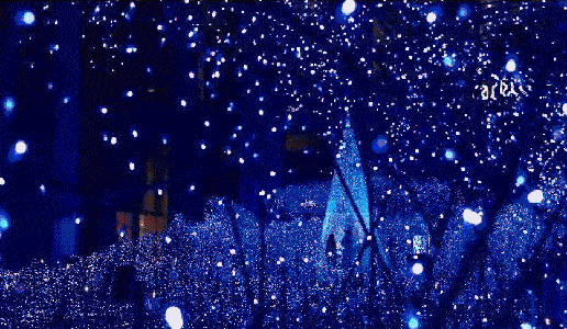 流光溢彩,梦幻花灯秀