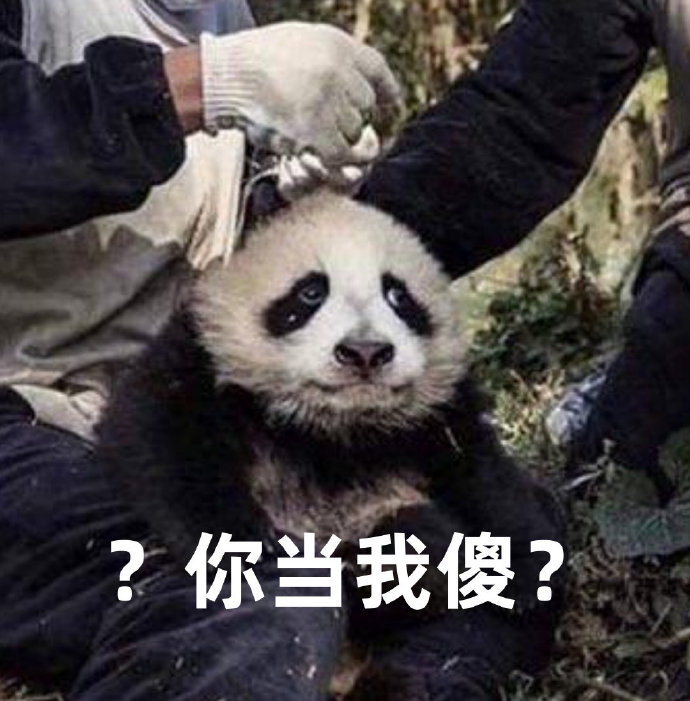 我肚子也会抖,duang~duang~duang~的那种,给我也整一个呗小帅哥快来玩