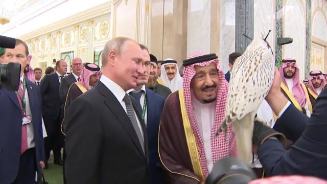 普京送沙特国王一只霸气猎鹰 顺利拿下百亿大单